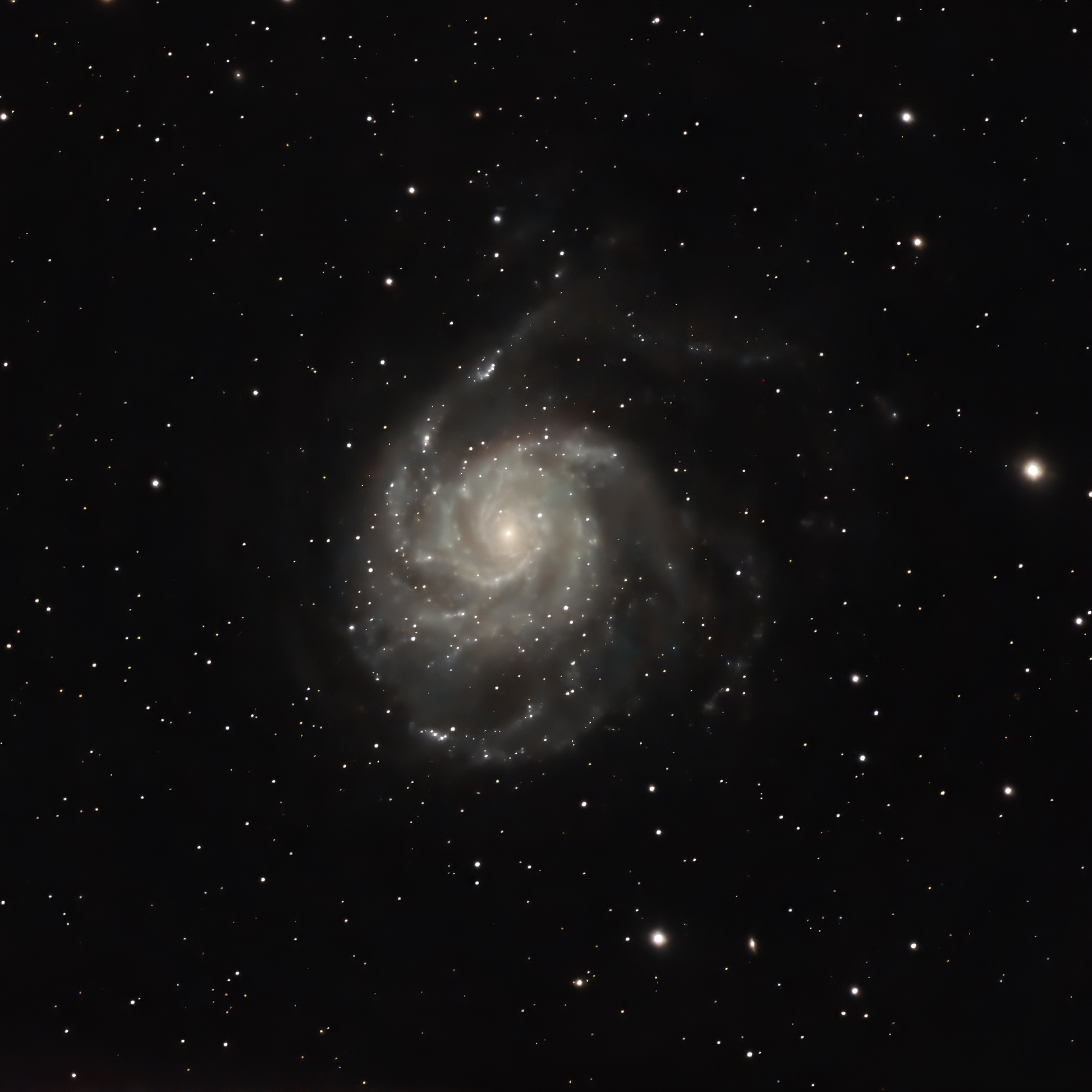 M101_celestron_recadre.jpg