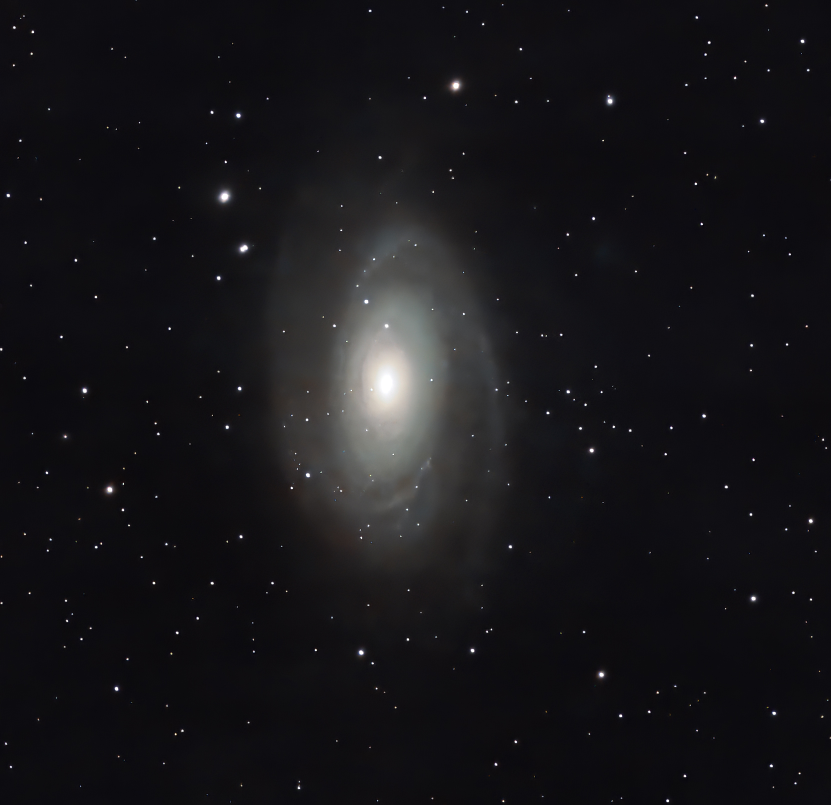 m81.jpg